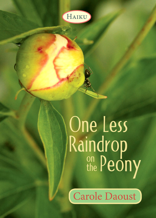 One Less Raindrop on the Peony